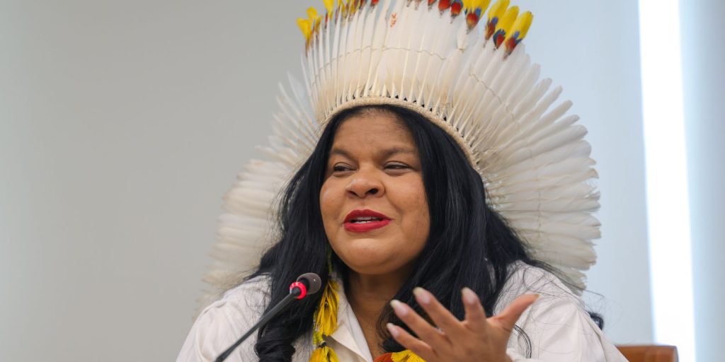 ministra-destaca-trabalho-inedito-na-protecao-dos-povos-indigenas