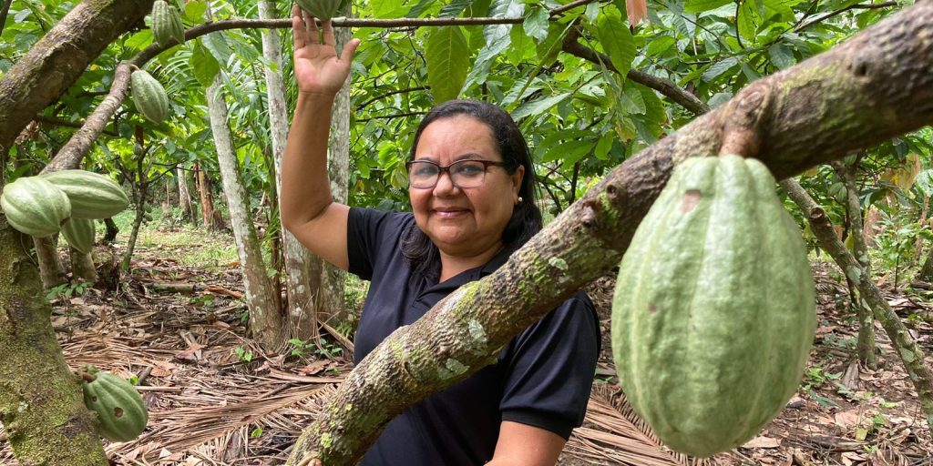 potencial-para-bioeconomia-atrai-investimentos-na-amazonia