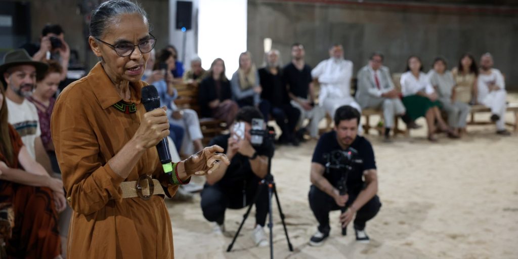 “vetos-de-lula-a-pl-das-licencas-ambientais-ajudam-pais”,-diz-marina