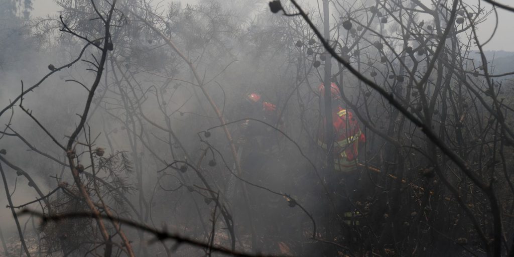 ue:-incendios-florestais-ja-queimaram-mais-de-1-milhao-de-hectares