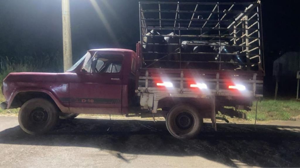 homem-e-preso-com-gado-furtado-em-dom-aquino